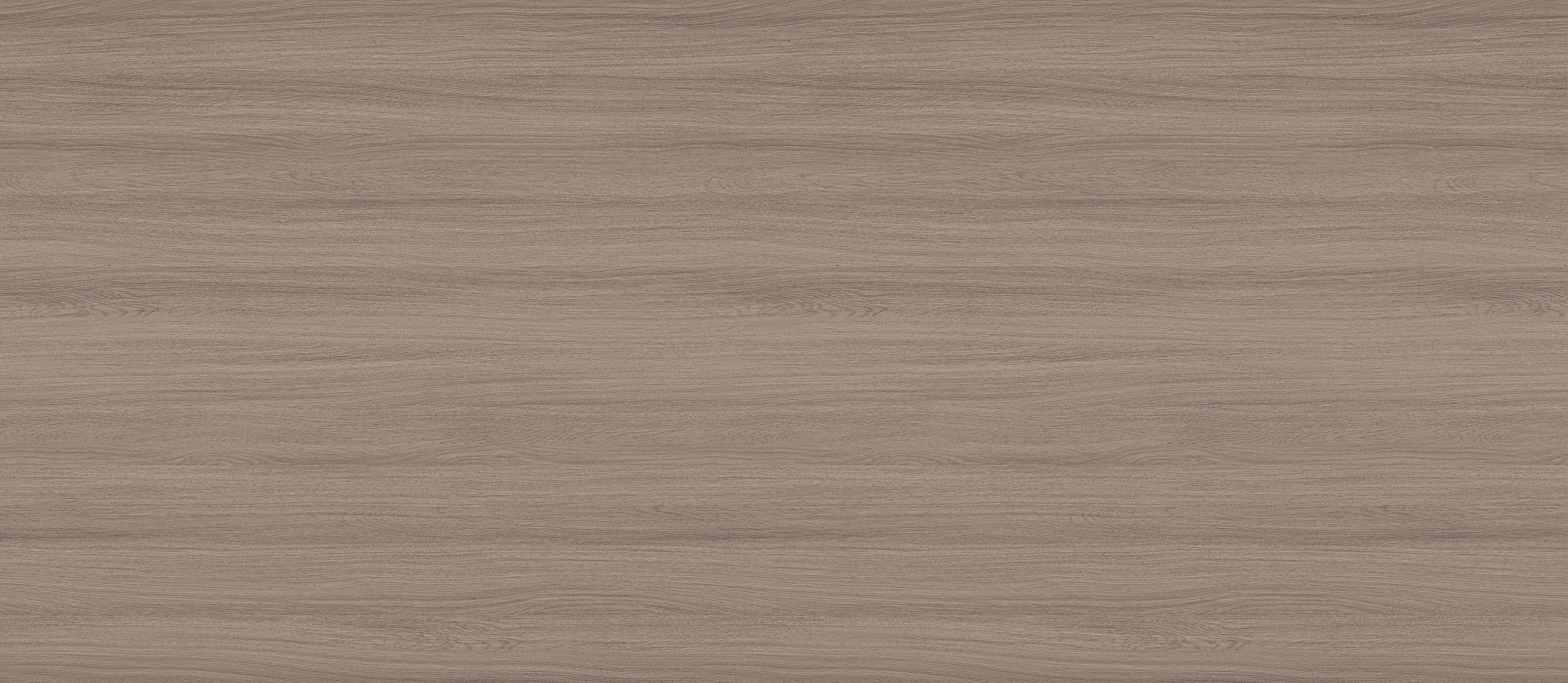 W1031-5(49),W1031-5(48)