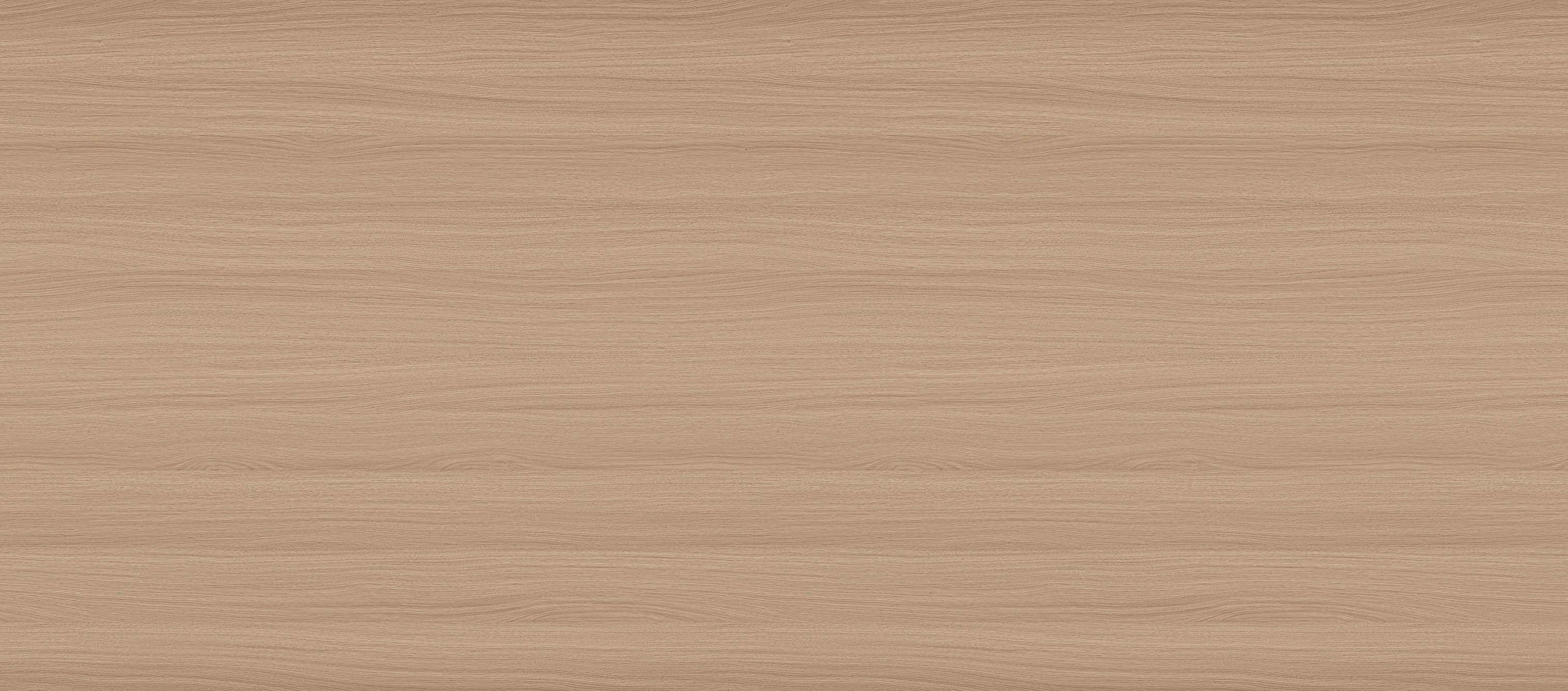 W1031-2(49),W1031-2(48)